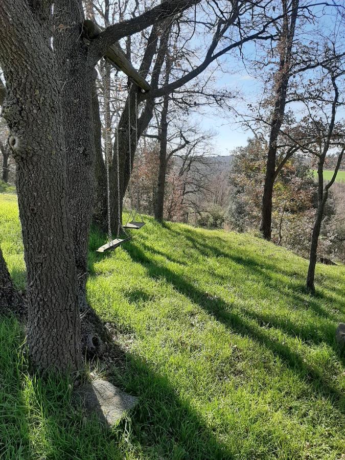 Landhaus Rural Solsona
