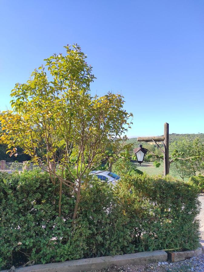 Rural