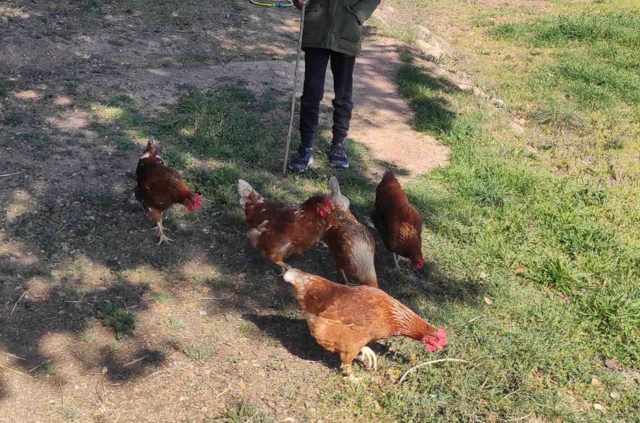 Rural *